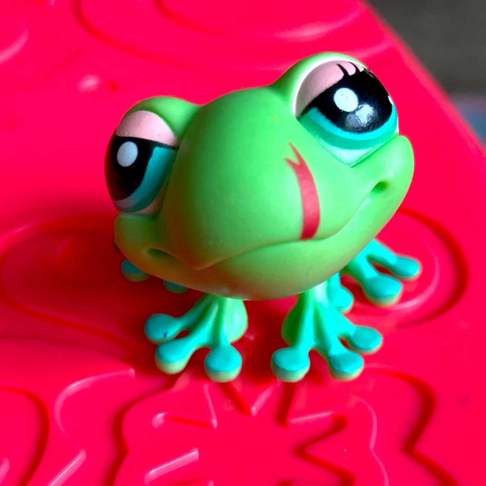 LPS frog